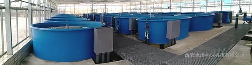  产品信息 环保设备 原水处理设备 >罗氏沼虾工厂化养殖水